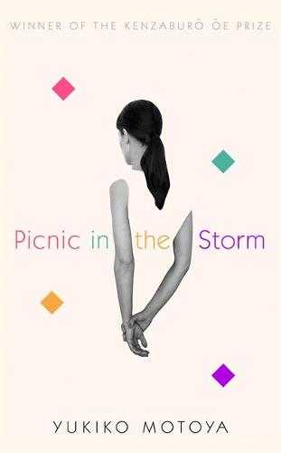 Picnic in the Storm (Hardback)