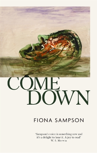 Come Down (Paperback)