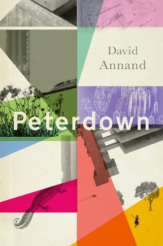 Peterdown (Hardback)