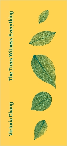 The Trees Witness Everything (Paperback)