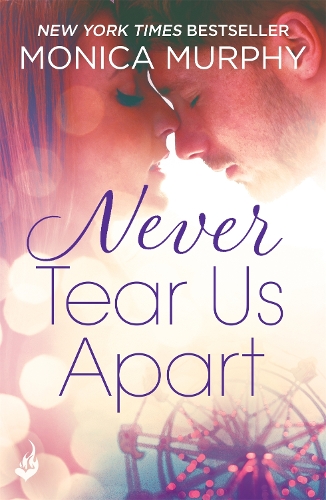 Never Tear Us Apart: Never Series 1 - Never Series (Paperback)