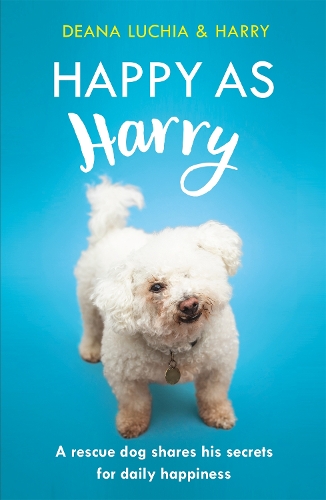 Happy as Harry: A rescue dog shares his secrets for daily happiness (Paperback)