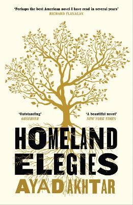 Homeland Elegies (Paperback)