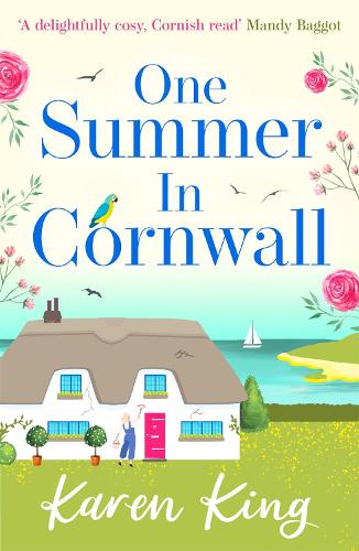 One Summer in Cornwall (Paperback)