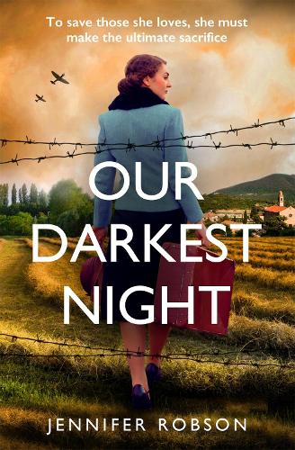 Book cover of Our Darkest Night