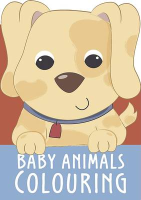Baby Animals Colouring (Paperback)