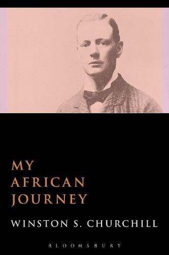 My African Journey (Paperback)