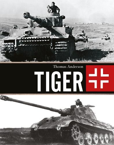 Thomas Anderson Tiger