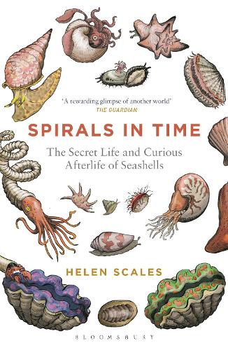 Spirals in Time: The Secret Life and Curious Afterlife of Seashells (Paperback)