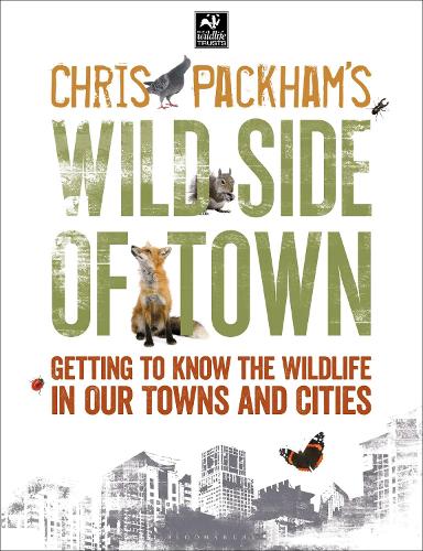 Chris Packham's Wild Side Of Town: Getting to Know the Wildlife in Our Towns and Cities - The Wildlife Trusts (Paperback)