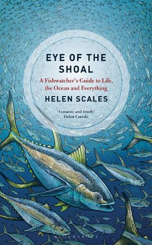 Eye of the Shoal: A Fishwatcher's Guide to Life, the Ocean and Everything (Hardback)