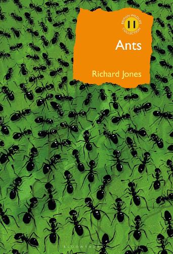 Book cover of Ants