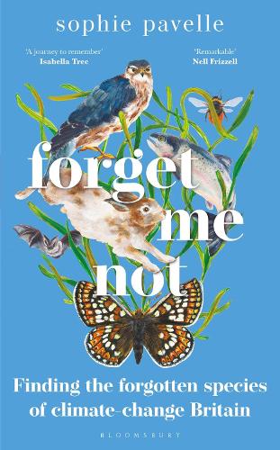 Forget Me Not: Finding the forgotten species of climate-change Britain (Hardback)