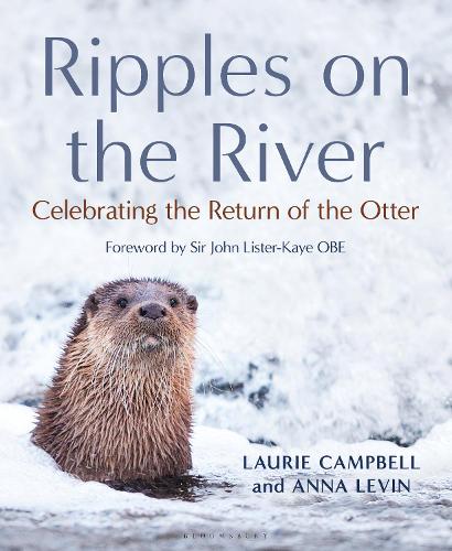 Ripples on the River: Celebrating the Return of the Otter (Hardback)