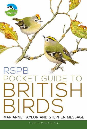 RSPB Pocket Guide to British Birds - RSPB (Paperback)