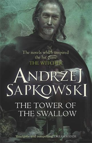 The Tower of the Swallow: Book 4 - The Witcher (Paperback)