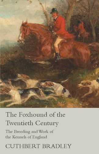 The Foxhound of the Twentieth Century - The Breeding and Work of the Kennels of England (Paperback)