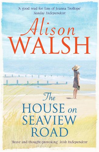 The House on Seaview Road (Paperback)