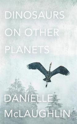 Dinosaurs on Other Planets (Hardback)