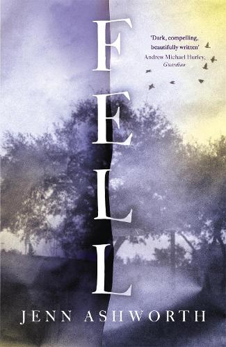Fell (Paperback)