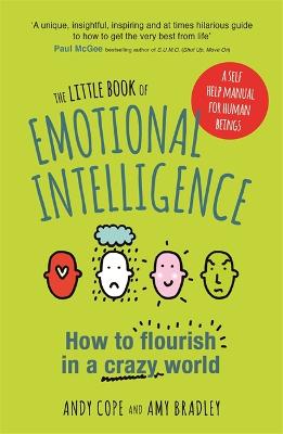 The Little Book of Emotional Intelligence: How to Flourish in a Crazy World (Paperback)