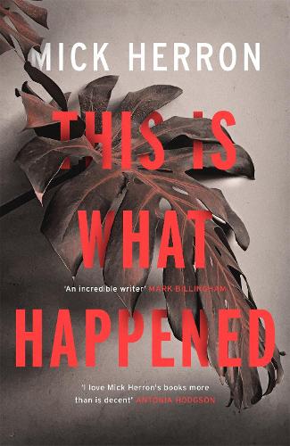 This is What Happened (Paperback)