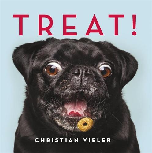 Treat!: DOGS CATCHING TREATS: THE FUNNIEST DOG BOOK OF THE YEAR (Paperback)