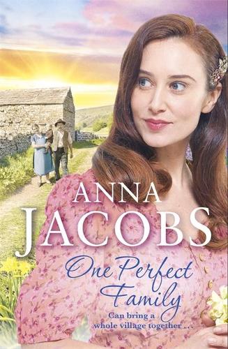 One Perfect Family - Ellindale Series (Hardback)