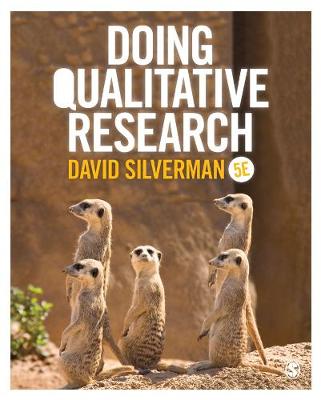 Doing Qualitative Research (Paperback)
