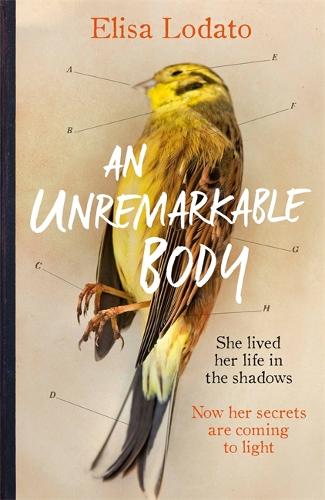 An Unremarkable Body (Hardback)