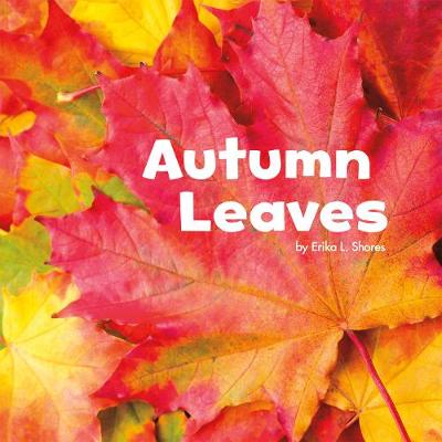 Autumn Leaves - Little Pebble: Celebrate Autumn (Hardback)