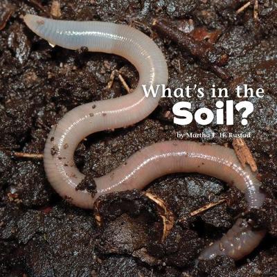 What's in the Soil? - Little Pebble: What's In There? (Hardback)