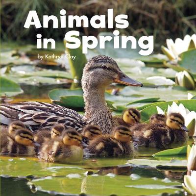 Animals in Spring - Little Pebble: Celebrate Spring (Paperback)