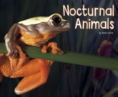 Nocturnal Animals - Pebble Plus: Life Science (Paperback)
