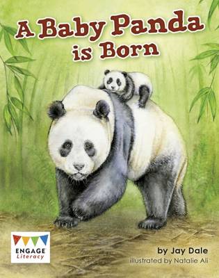 A Baby Panda is Born - Engage Literacy: Engage Literacy White