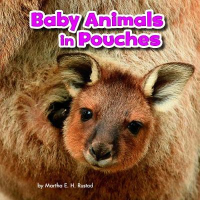 Baby Animals in Pouches - Little Pebble: Baby Animals and Their Homes (Hardback)