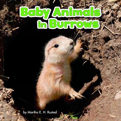 Baby Animals in Burrows - Little Pebble: Baby Animals and Their Homes (Hardback)