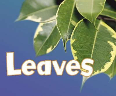 Leaves - Pebble Plus: Parts of Plants (Hardback)