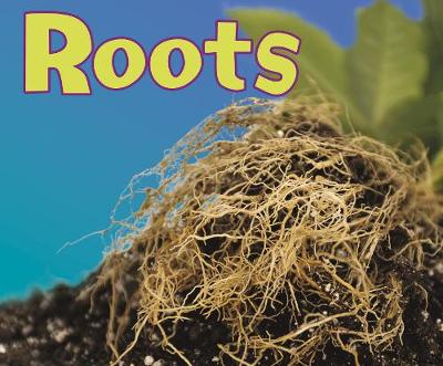 Roots - Pebble Plus: Parts of Plants (Hardback)