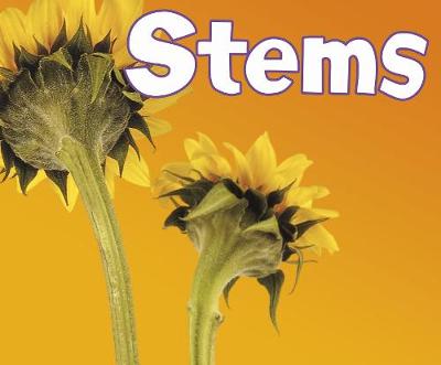Stems - Pebble Plus: Parts of Plants (Hardback)