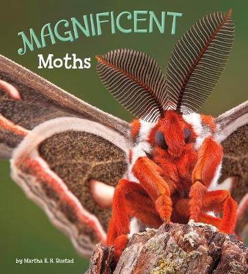 Magnificent Moths - A+ Books: Marvellous Minibeasts! (Hardback)