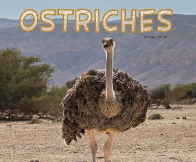 Ostriches - Pebble Plus: Meet Desert Animals (Hardback)