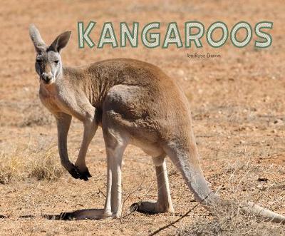 Kangaroos - Pebble Plus: Meet Desert Animals (Hardback)