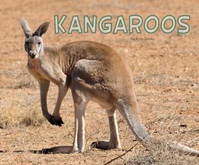 Kangaroos - Pebble Plus: Meet Desert Animals (Paperback)