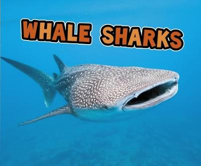 All About Sharks Pack A of 4 - Pebble Plus: All About Sharks (Paperback)