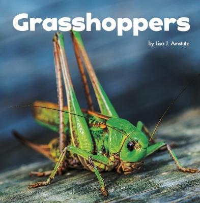 Grasshoppers - Little Pebble: Little Creatures (Hardback)