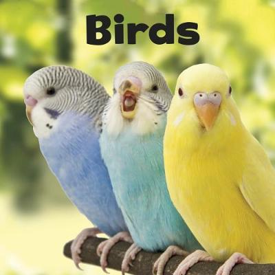 Birds - Our Pets (Paperback)