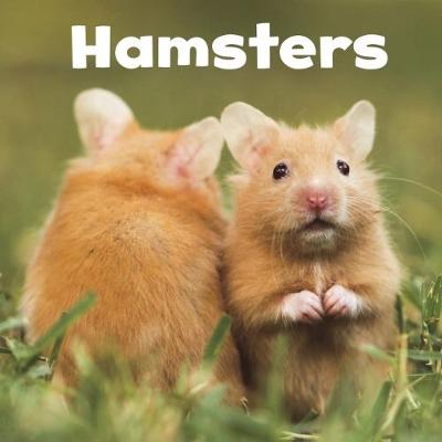 Our Pets Pack A of 6 - Our Pets (Paperback)