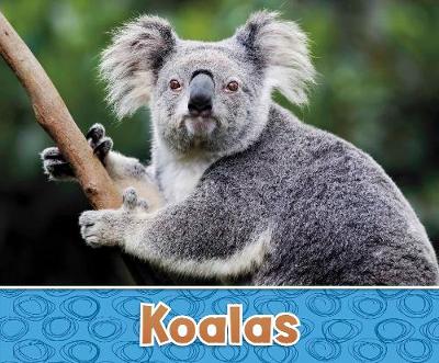 Koalas by Sara Louise Kras | Waterstones Koalas by Sara Louise Kras | Waterstones