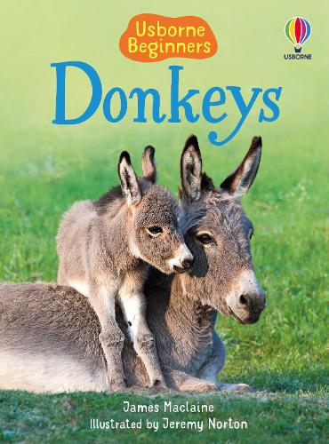 Beginners Donkeys - Beginners Series (Hardback)